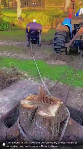 Removing Tree Stumps with a Wheelchair Operator