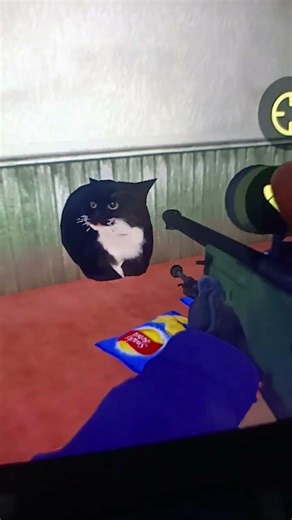 my cat ate my chips in gmod