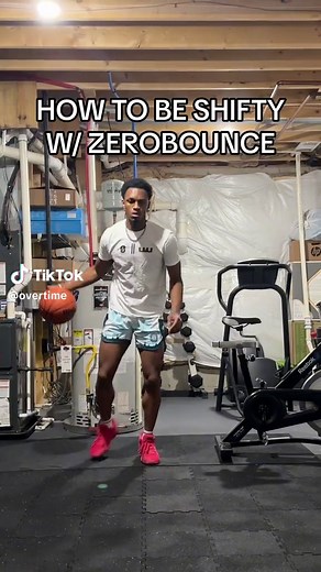 HOW TO BE SHIFTY \nW/ ZEROBOUNCE