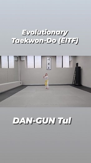 DAN-GUN Tul Evolutionary Taekwon-Do EITF #taekwondo #itf #tkd #eitf | Rudolf Kang