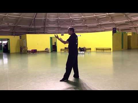 Tai-Chi-Chuan - 1er duan - Style Yang - Ecole: Yangjia Michuan - Maître Wang Yen-nien