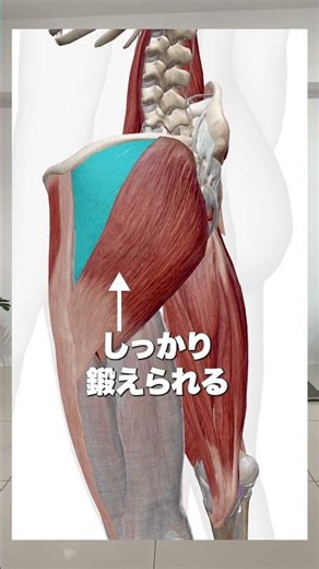 【ヒップアップ】自宅で簡単美尻トレ！サイドレッグレイズ #ヒップアップ