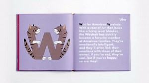 Nice clean copy with no highlighting or writing. We take pride in our accurate descriptions. Satisfaction Guaranteed.