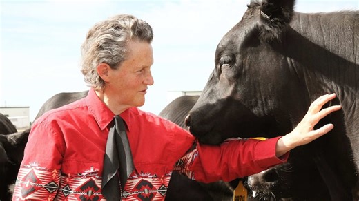 How Temple Grandin's autism gave her a 'cow's-eye view' of the world