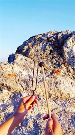 The Sound of Your Inner Ground 🌳 | Planetary Frequencies & Tuning Forks of Taurus, Virgo & Capricorn