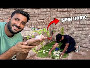 Making New Home For Hamster😍