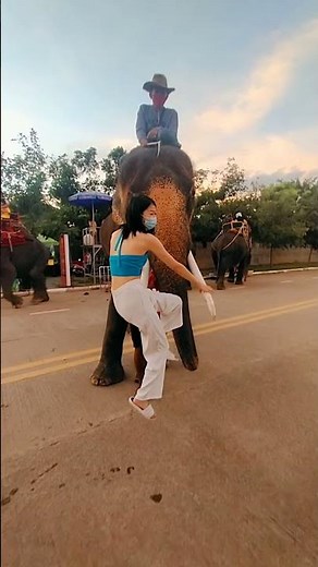 elephant has a beauty full girl friend