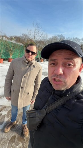 Страхование травм в Германии: выплаты и возможности