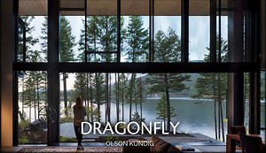 【建筑空间】在大自然的边缘 |蜻蜓