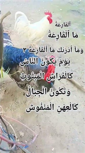 سورہ القاریہ bahut hi pyari surah#viral #qurn