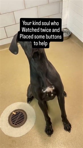 You watched twice and pressed 4 buttons help donate for food save this baby from hunger💔