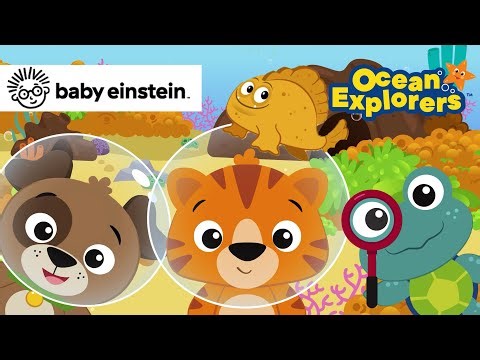 Hide N Seek with Frog Fish | Ocean Explorers Song Compilation | Baby Einstein | Kids Cartoons