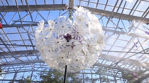 35 reactions · 11 comments | The Glass in the Garden is growing! Local artist Newt Grover has added more of his hand blown glass art to the Conservatory and it's a must-see. Come enjoy these new colorful displays with over 3,000 butterflies at Butterfly Wonderland! | Butterfly Wonderland | Facebook