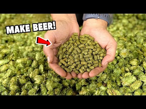 4. How to ADD HOPS TO BEER / WORT (The Boil)