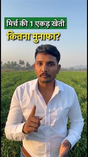 1 Acre Chilli Farming Income 💰 | Cost, Yield & Profit Explained