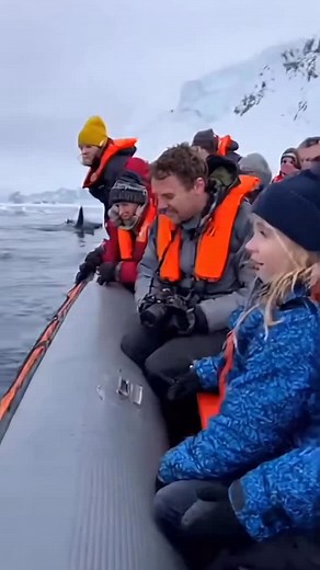 35K views · 3.3K reactions | Seal pup gift | AI Dog Scientist | Facebook