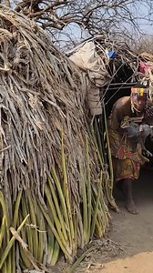 2.8M views · 42K reactions | Hadzabe Tribe bushmen ladies show us their favorite bush birds in their simple traditional lifestyle in the nature 殺 | Lovely daily adventures | Facebook
