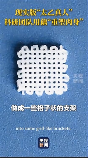 Truly "resurrecting the body" with lotus roots! A scientific research team in Wuhan has customized a lotus root fiber scaffold, which can promote the proliferation of bone cells and significantly reduce the treatment costs for patients with fractures. | Beautiful places in China