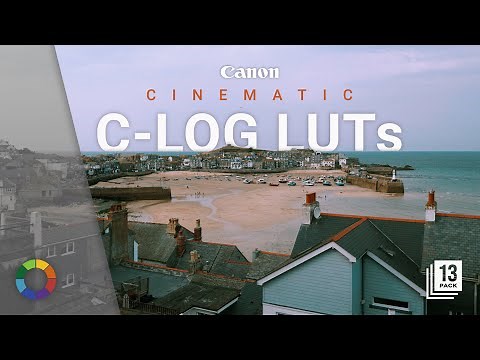 Canon C-Log LUTs in Premiere Pro – Quick & Easy Color Grading