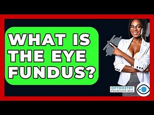 What Is The Eye Fundus? - Optometry Knowledge Base
