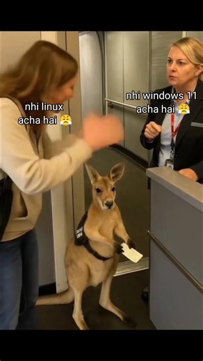 Aap abhi konsa use kr rhe hai? #exotickrrishextra #linux #windows