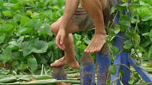 1.1M views · 9.1K reactions | This challenge really highlights the OUTLAST in Survivor 掠 #SurvivorAU: Heroes v Villains Stream now on 10 Play. | Australian Survivor | Facebook