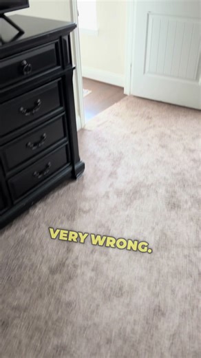 Understanding German Shepherds: Are They Broken?