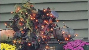 Watch Halloween Orange Lights on Amazon Live