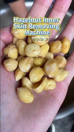 How delicious are blanched hazelnuts?#Peeler#BlanchedHazelnuts
