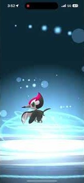 Community Day Shiny Pikipek Encounter #2 plus Evolution into Shiny Trumbeak in Pokémon Go #pokemongo