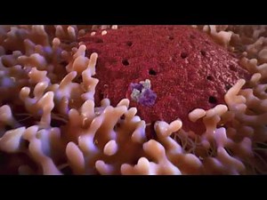 Exploring the Nano World