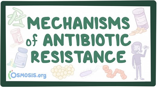 Mechanisms of antibiotic resistance: Video, Causes, & Meaning | Osmosis
