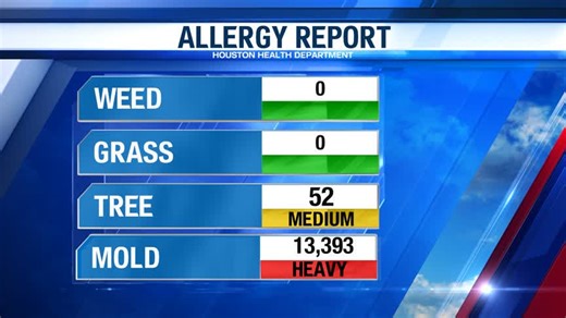 Houston Allergy Report: Tree pollen at medium levels, Mold count remains high this week
