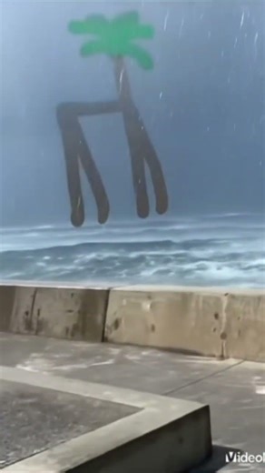 the walker tree giant