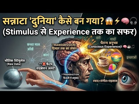 How does the mind create the ordinary world? 😱 | From Stimulus to Experience (Psychology Explained)