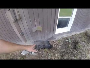 Groundhog Tunnels Everywhere | Catching Digging Woodchucks