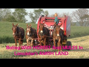 Springtime BALING In Lancaster County's AMISH LAND