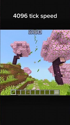 4096 tick speed #minecraft #gaming