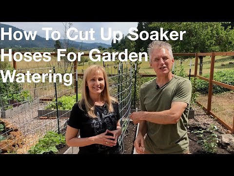 How To Cut Up Soaker Hoses For Garden Watering | AnOregonCottage.com