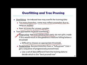 DMDW Overfitting and Tree Pruning