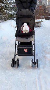 60K views · 1.2K reactions | Lets go for a walk Keep your kitten entertained for hours with this Flapping Bird Toy! ✨ Touch-activated and lifelike chirping sounds make playtime exciting and interactive. Perfect for your little hunter!  Get it now  https://amzn.to/4n7R5ua | Meow Moments | Facebook