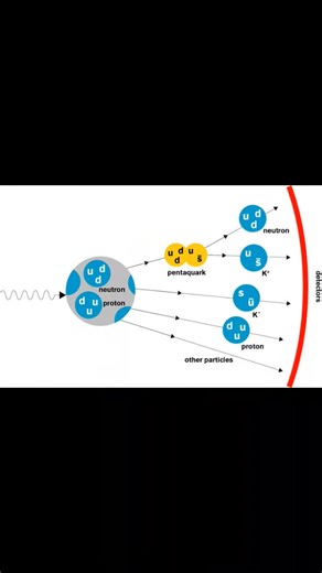 Fundamental particles in nature | Physics, Mathematics and Chemistry Online Academy