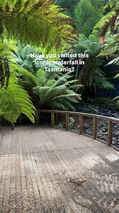 120K views · 1.6K reactions | Cocooned in cool-climate rainforest,...