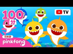 ベイビーシャークと歌おう🦈🎶 | サメのかぞくの歌メドレー | ゆびあそびサメかぞく 、ベイビーシャークどこかな？、バスの歌 他 | ベイビーシャークとピンキッツ