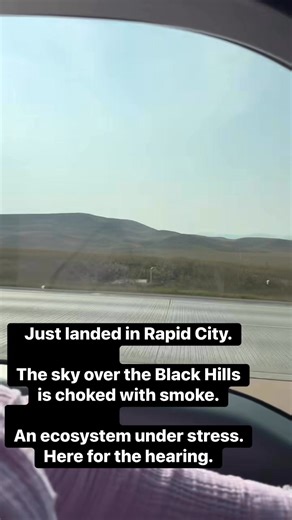 2.2K views · 49 reactions | Touched down in Rapid City. The smoke is thick and the air is heavy. A stark reminder of what we’re all fighting to protect. Time to get to work. | Mountain Lion Foundation | Facebook