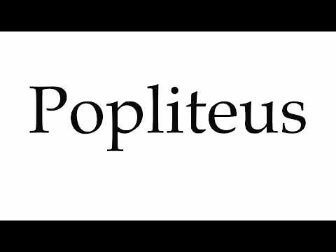 How to Pronounce Popliteus