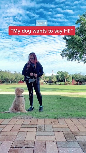 Proper Dog Socialization: Why Allowing Your Puppy to Run Up to Other Dogs Is Not Ideal
