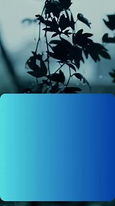 3K views · 101 reactions | Inter-vlan-routing | Online Cisco Networking Academy | Facebook