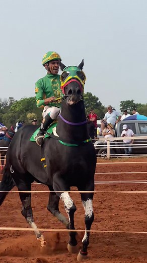 Carreras de Caballos Cuarto de Milla en Argentina