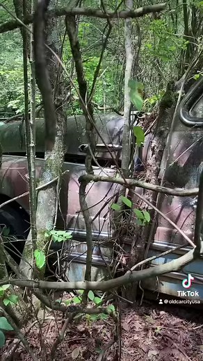 10K views · 219 reactions | 7 miles of Trails. Largest vintage classic car Junkyard in the world  | Old Car City USA | Facebook